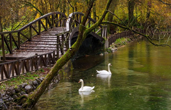 Sarajevo Private Tour - Foto 5